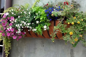 Vertical_Garden_Feature_Image